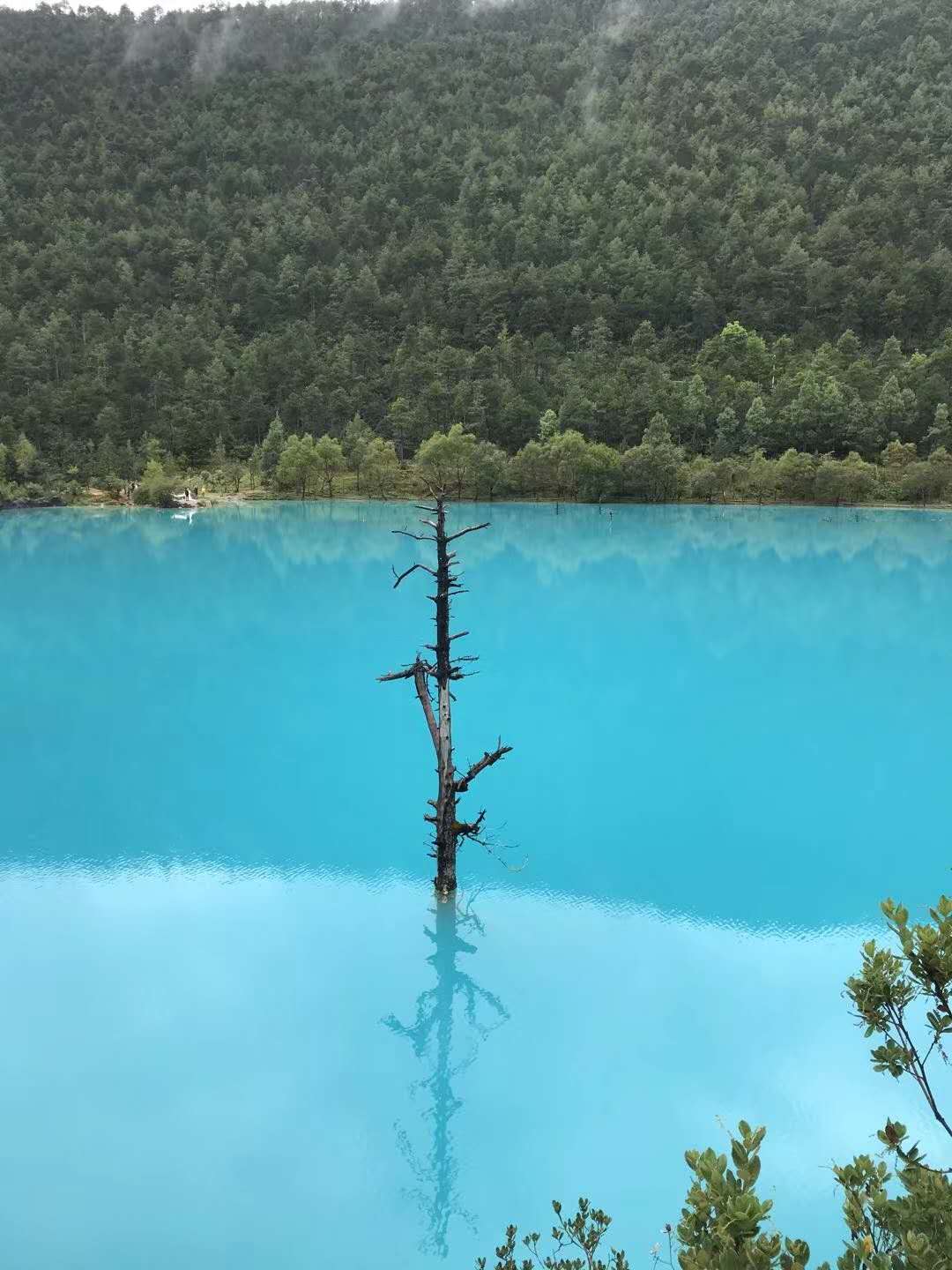 模板五-旅游左側(cè)欄廣告
